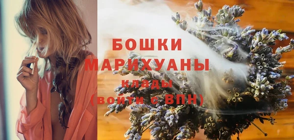 PSILOCYBIN Заволжье