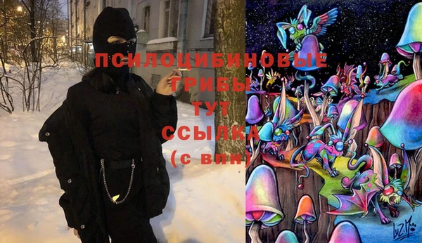 PSILOCYBIN Заволжье